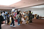 DSC_6015.JPG